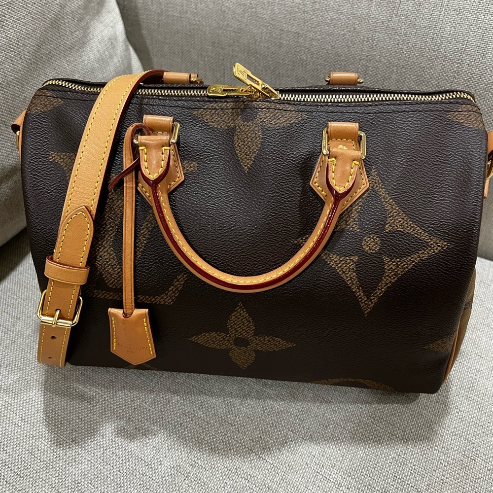 Louis Vuitton Speedy Giant Reverse
